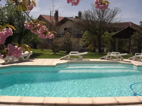 Allant Holidays